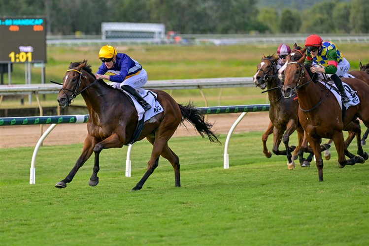 🏇 사가 경마장 (사가케이바조)